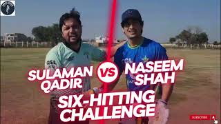 Naseem Shah vs Salman Qadir 6 hitting Challenge (Before PSL 9 #cricket #naseemshah #QSL 2024 #psl 9