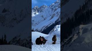 #sonmarg #views #amazing #shorts #travel #viralshorts #winter & #shamar