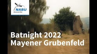 Batnight im Mayener Grubenfeld 2022