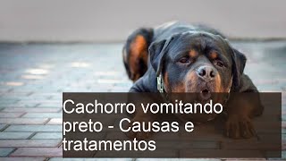 Cachorro VOMITANDO PRETO - Causas e tratamentos