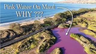 Is it Toxic??? Water is turning PINK on MAUI... WHY???