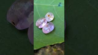 ✨ Ancient Mukkaru Sapphire Beads from Sri Lanka ✨