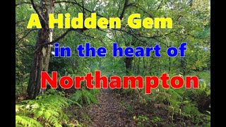 Womble Wanders - Northampton's hidden Gem - Lings wood nature reserve