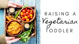 Raising a Vegetarian Toddler | Tips, Foods, Vitamins & Nutrients