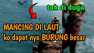 niat mancing ikan malah dapat burung