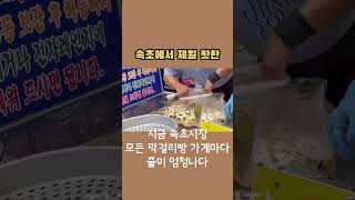 속초에서 지금 제일 핫플 #막걸리빵 #속초시장 #속초여행 #속초