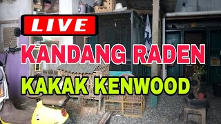 LIVE DIKANDANG RADEN KAKAK KENWOOD