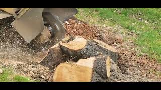 Stump Grinding 'Round Here