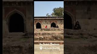 Winter Afternoon @ Lodhi Garden       Delhi