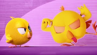 Fake Chicky's | Where's Chicky? | Cartoon Collection in English for Kids | New episodes HD