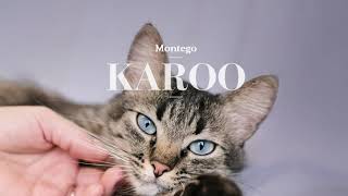 NEW KAROO 85 G WET FOOD POUCHES FOR CATS