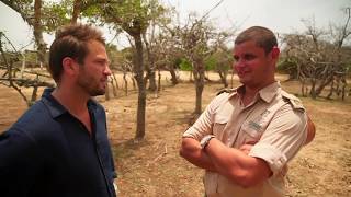 Wild leopard encounter (Yala National Park - Sri Lanka)