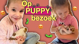 HOE SCHATTIG ZIJN DEZE PUPPY’S 😍