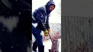 Snowy Day At The Workshop