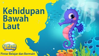 KEHIDUPAN BAWAH LAUT (SERIES LAUTAN PART 2 - BELAJAR HEWAN LAUT)