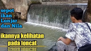 MANCING DI AREA TERLARANG!!! Ikan pada ngumpul di bawah bendungan