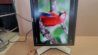 Dell 2007FPb 20" Monitor for sale