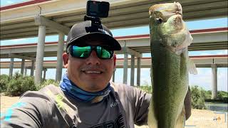 La joya lake Catching Bass with GOOGAN SPINNER BAIT Secret spot