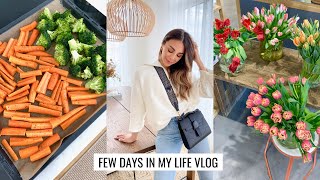 VLOG | Spring Cleaning, Organizing My Wardrobe & Foods I'm Loving | Annie Jaffrey