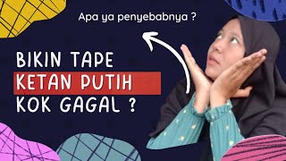 TUTORIAL BIKIN TAPE KETAN PUTIH | GAGAL COBA LAGI YA | #tutorial #review #minivlog #tapeketan