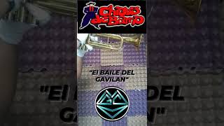 #Shorts ChicosDeBarrio "El Baile Del Gavilan"