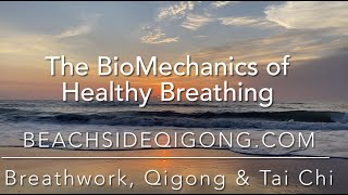 BioMechanics of breathing