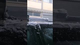 Snow Falling Live Stream