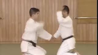 Guía técnica Aikido Yoshinkan 2/3