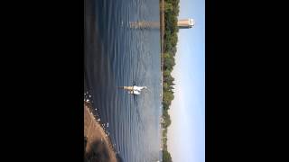 swan on water heading towards camera