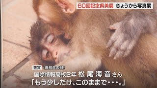 県美術展「写真展」開幕　瞬間を切り取る感性豊かな375点　今回から高校生の作品も