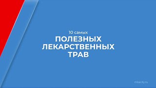 Курс обучения "Фитотерапия (Травничество)" - 10 самых полезных лекарственных трав