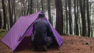 Solo camping in the pinewood (TARP TENT)