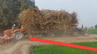 Massey tractor sugar load trli help  back is bumper fiat tractor hal performance