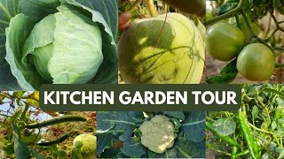 KITCHEN GARDEN TOUR || कौन सी सब्जियां उगाई हुई है मेरे किचन गार्डन में आइए देखते हैं