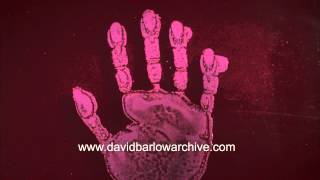 Bacterial growth from a handprint