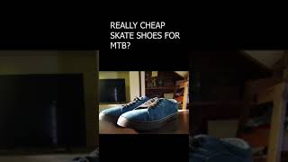 Very Affordable Budget MTB shoes