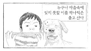 철수 이야기: 리트리버 철수와 시골소년 해수가 함께한 나날들