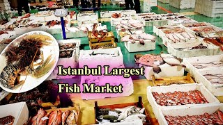 Largest Fish Market Fish Videos Live Fish Market Big Fish Istanbul There are many species of fish