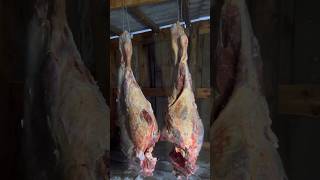 Carcass cutting🥩 Stocks for the winter❄️/ Разделка туши Запасы на зиму Yakutia #pandasakha #winter