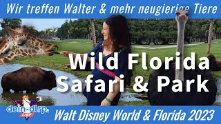 Wild Florida Drive-Thru Safari und Gator Park | Walt Disney World & Florida 2023