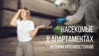 Как бороться с насекомыми в апартаментах? | Техасские вредители | Жизнь в Техасе