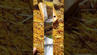 Straw Bale Garden prep 4