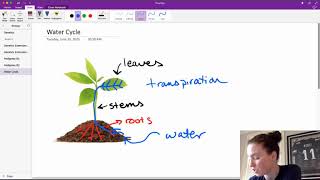 Water Cycle in Plants and Animals