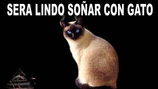 SERA LINDO O MALO SOÑAR CON GATOS