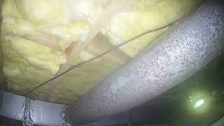 Crawl Space Home Inspection Footage