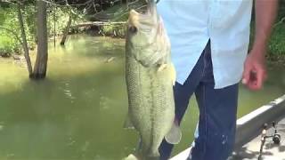 Bass Fishing ~ Patoka Lake Three Pounder ~ Slow Motion