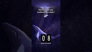 Prophet swallowed by a whale. #islam #shortsvideo #celebratewithshorts #prophet #quran #hadees#viral