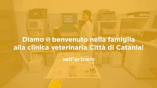 Clinica Veterinaria Città di Catania | VetPartners Italia