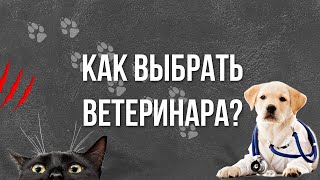 Как выбрать ветеринара?/Как подобрать ветврача/Интервью с ветеринаром