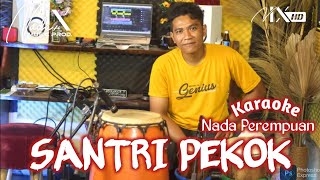 SANTRI PEKOK KARAOKE PARGOY - NIKEN SALINDRY - NADA PEREMPUAN - NADA9 - KOPLO JANDHUT + LIRIK LAGU